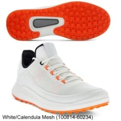 Ecco 2022 Golf Core Shoes -FairwayPro Store ECC0214b