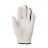 Fairway Golf Original HJ Glove -FairwayPro Store FWG0010 10a